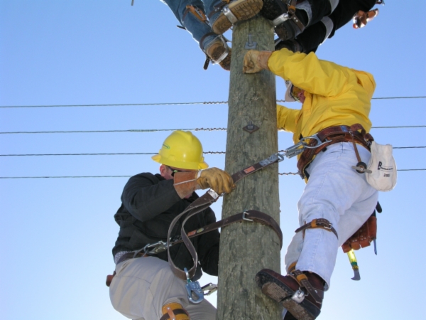 Students working on utility pole